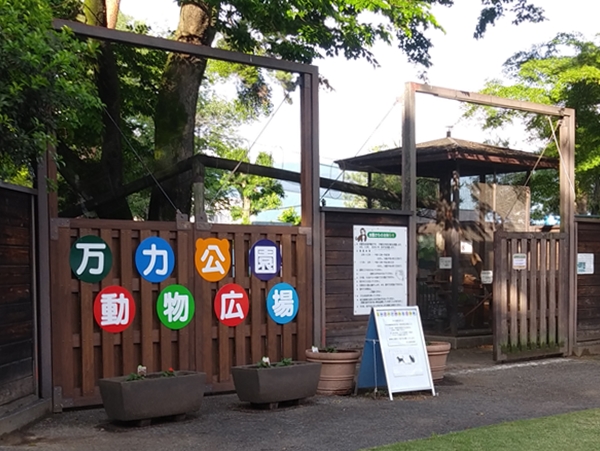 ふれあい動物広場